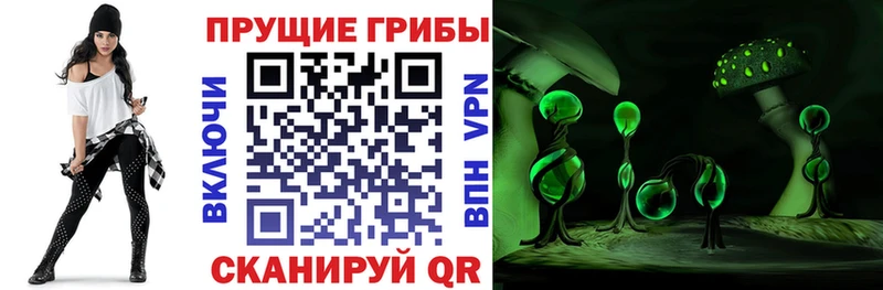 маркетплейс состав  гидра ссылки  Бабушкин  Галлюциногенные грибы Psilocybine cubensis 